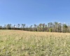 10A Memorial Drive, Bruceton Mills, West Virginia 26525, ,Lots/land,For Sale,Memorial,10148921