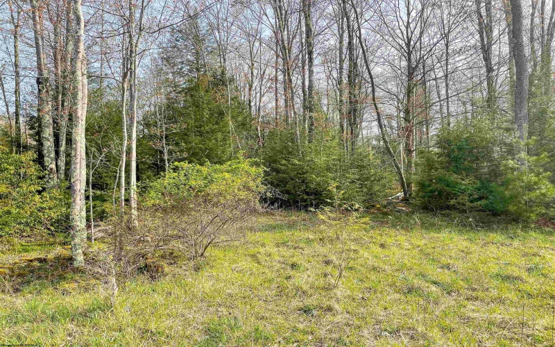 Lot 27 Tuscan Ridge - Venice Place, Davis, West Virginia 26260, ,Lots/land,For Sale,Tuscan Ridge - Venice,10149000