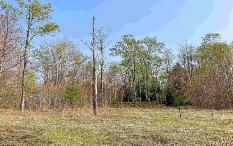 Lot 29 Tuscan Ridge - Venice Place, Davis, West Virginia 26260, ,Lots/land,For Sale,Tuscan Ridge - Venice,10149002