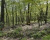 Lot C Sand Bank Road, Masontown, West Virginia 26542, ,Lots/land,For Sale,Sand Bank,10149036