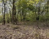 Lot C Sand Bank Road, Masontown, West Virginia 26542, ,Lots/land,For Sale,Sand Bank,10149036