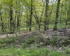 Lot C Sand Bank Road, Masontown, West Virginia 26542, ,Lots/land,For Sale,Sand Bank,10149036