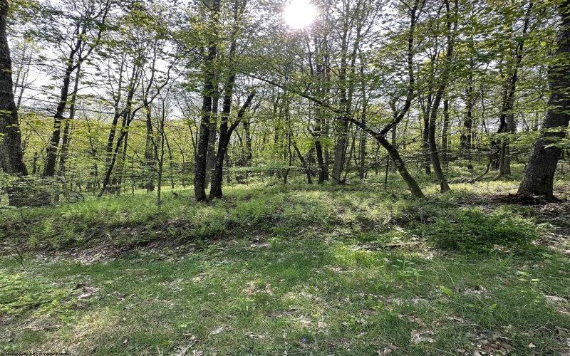 Lot C Sand Bank Road, Masontown, West Virginia 26542, ,Lots/land,For Sale,Sand Bank,10149036