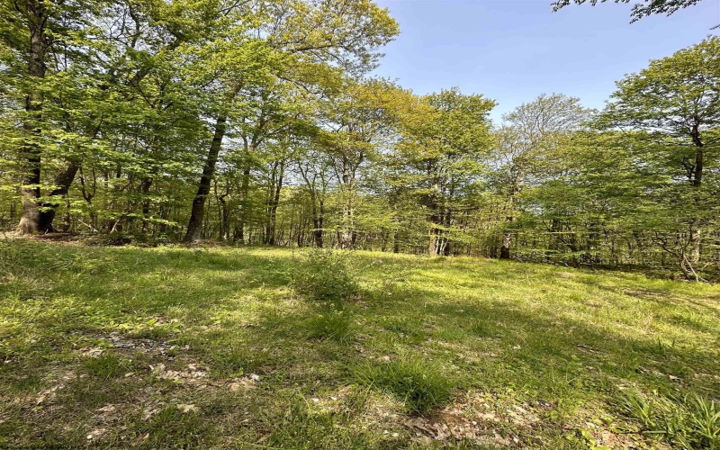 Lot C Sand Bank Road, Masontown, West Virginia 26542, ,Lots/land,For Sale,Sand Bank,10149036