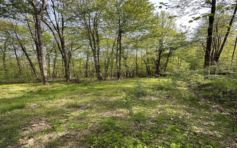 Lot C Sand Bank Road, Masontown, West Virginia 26542, ,Lots/land,For Sale,Sand Bank,10149036