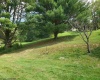 TBD Lewis Acres Drive, Mount Clare, West Virginia 26408, ,Lots/land,For Sale,Lewis Acres,10139708