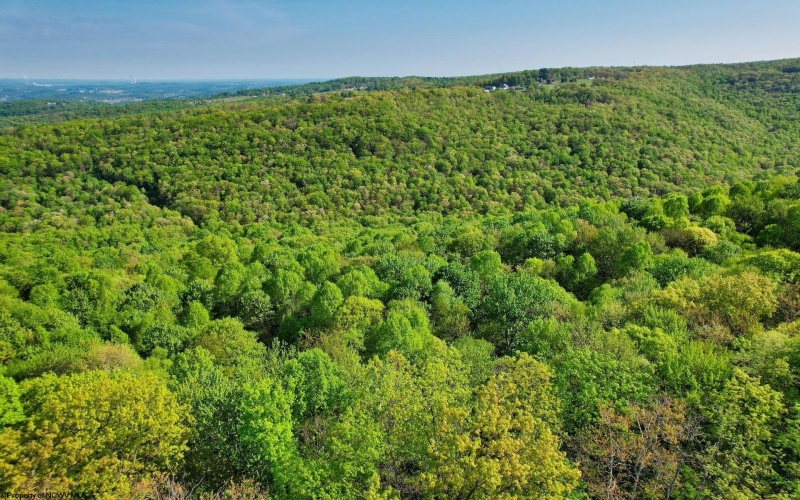 2000 Kingwood Pike, Morgantown, West Virginia 26508, ,Lots/land,For Sale,Kingwood,10149194