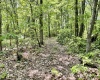 2000 Kingwood Pike, Morgantown, West Virginia 26508, ,Lots/land,For Sale,Kingwood,10149194