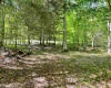 Lot 93 Laurel Loop - Whitewater Preserve Loop, Bruceton Mills, West Virginia 26525, ,Lots/land,For Sale,Laurel Loop - Whitewater Preserve,10149324