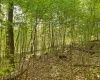 Lot 93 Laurel Loop - Whitewater Preserve Loop, Bruceton Mills, West Virginia 26525, ,Lots/land,For Sale,Laurel Loop - Whitewater Preserve,10149324