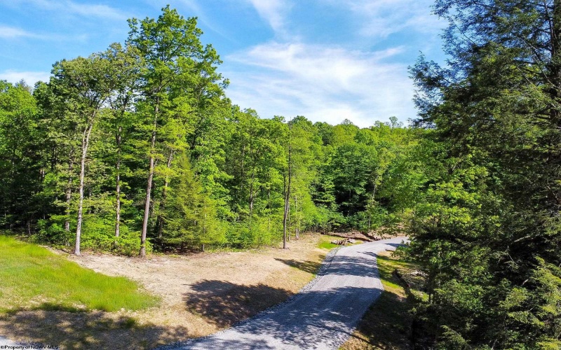 Lot 93 Laurel Loop - Whitewater Preserve Loop, Bruceton Mills, West Virginia 26525, ,Lots/land,For Sale,Laurel Loop - Whitewater Preserve,10149324