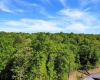 Lot 93 Laurel Loop - Whitewater Preserve Loop, Bruceton Mills, West Virginia 26525, ,Lots/land,For Sale,Laurel Loop - Whitewater Preserve,10149324