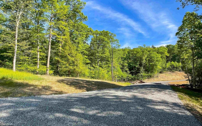 Lot 93 Laurel Loop - Whitewater Preserve Loop, Bruceton Mills, West Virginia 26525, ,Lots/land,For Sale,Laurel Loop - Whitewater Preserve,10149324