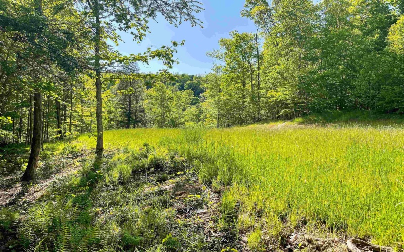 Lot 93 Laurel Loop - Whitewater Preserve Loop, Bruceton Mills, West Virginia 26525, ,Lots/land,For Sale,Laurel Loop - Whitewater Preserve,10149324