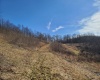 1931 Saint Leo Road, Wana, West Virginia 26590, ,Lots/land,For Sale,Saint Leo,10149543