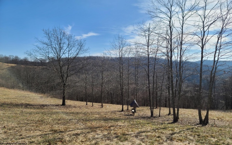 1931 Saint Leo Road, Wana, West Virginia 26590, ,Lots/land,For Sale,Saint Leo,10149543