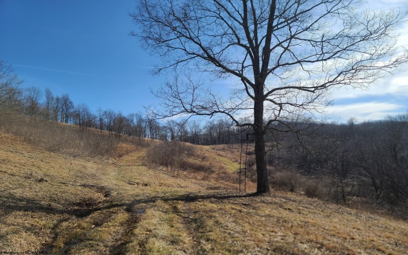 1931 Saint Leo Road, Wana, West Virginia 26590, ,Lots/land,For Sale,Saint Leo,10149543