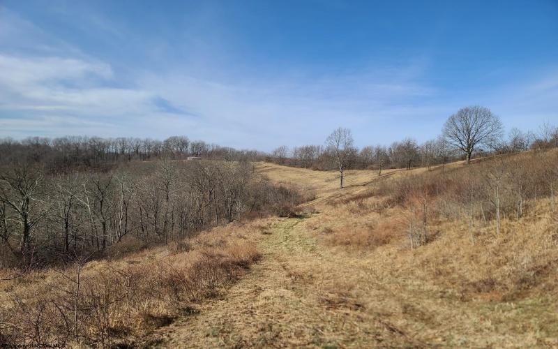 1931 Saint Leo Road, Wana, West Virginia 26590, ,Lots/land,For Sale,Saint Leo,10149543