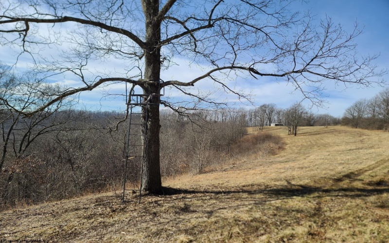 1931 Saint Leo Road, Wana, West Virginia 26590, ,Lots/land,For Sale,Saint Leo,10149543