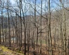 1931 Saint Leo Road, Wana, West Virginia 26590, ,Lots/land,For Sale,Saint Leo,10149543