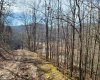 1931 Saint Leo Road, Wana, West Virginia 26590, ,Lots/land,For Sale,Saint Leo,10149543