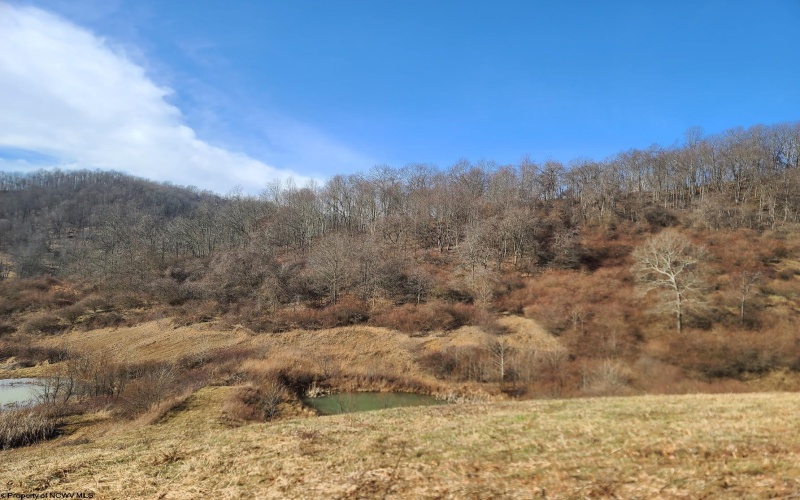 1931 Saint Leo Road, Wana, West Virginia 26590, ,Lots/land,For Sale,Saint Leo,10149543