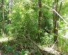 00 Fairmont Road, Westover, West Virginia 26501, ,Lots/land,For Sale,Fairmont,10149695