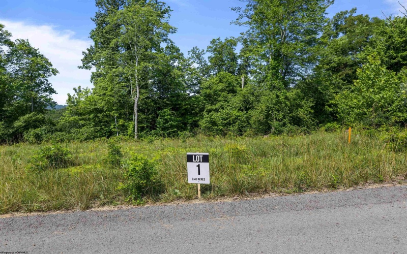 Lot 1 Eagle Glenn Court, Morgantown, West Virginia 26508, ,Lots/land,For Sale,Eagle Glenn,10149980