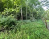 519 Back Alum Fork Road, Camden, West Virginia 26338, ,Lots/land,For Sale,Back Alum Fork,10150152