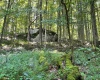 519 Back Alum Fork Road, Camden, West Virginia 26338, ,Lots/land,For Sale,Back Alum Fork,10150152