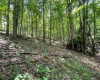 519 Back Alum Fork Road, Camden, West Virginia 26338, ,Lots/land,For Sale,Back Alum Fork,10150152