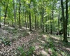 519 Back Alum Fork Road, Camden, West Virginia 26338, ,Lots/land,For Sale,Back Alum Fork,10150152