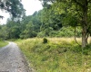 519 Back Alum Fork Road, Camden, West Virginia 26338, ,Lots/land,For Sale,Back Alum Fork,10150152