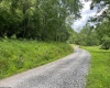 519 Back Alum Fork Road, Camden, West Virginia 26338, ,Lots/land,For Sale,Back Alum Fork,10150152