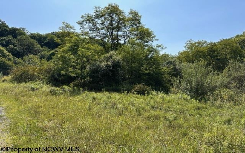 Lot 1 Trail View Lane, Masontown, West Virginia 26542, ,Lots/land,For Sale,Trail View,10150489