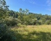 Lot 1 Trail View Lane, Masontown, West Virginia 26542, ,Lots/land,For Sale,Trail View,10150489