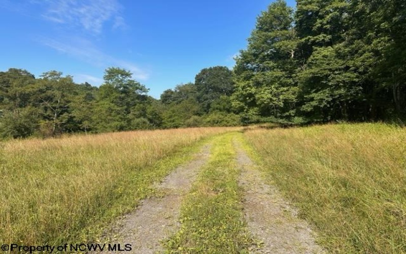 Lot 1 Trail View Lane, Masontown, West Virginia 26542, ,Lots/land,For Sale,Trail View,10150489