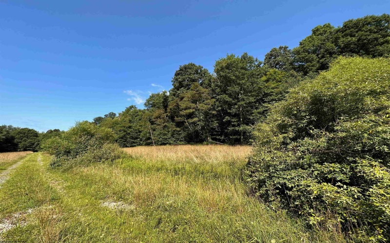 Lot 2 Trail View Lane, Masontown, West Virginia 26542, ,Lots/land,For Sale,Trail View,10150491