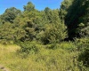 Lot 2 Trail View Lane, Masontown, West Virginia 26542, ,Lots/land,For Sale,Trail View,10150491