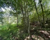 Lot 3 Trail View Lane, Masontown, West Virginia 26542, ,Lots/land,For Sale,Trail View,10150492