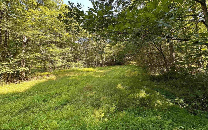 Lot 3 Trail View Lane, Masontown, West Virginia 26542, ,Lots/land,For Sale,Trail View,10150492