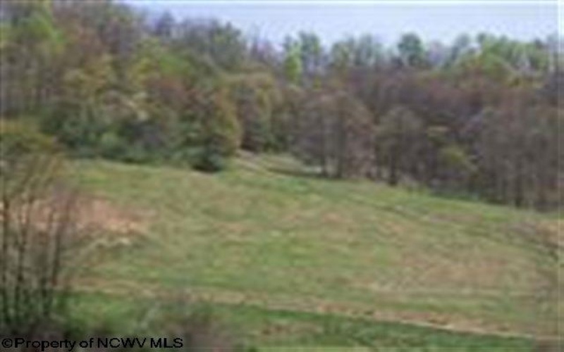 604 Popular Street, Jane Lew, West Virginia 26378, ,Lots/land,For Sale,Popular,10150719