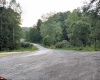 1448 Mare Run Road, Weston, West Virginia 26452, ,Lots/land,For Sale,Mare Run,10150878