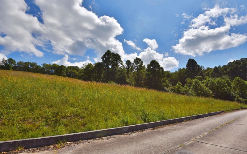 Lot 37 Birch Street, Grafton, West Virginia 26354, ,Lots/land,For Sale,Birch,10150927
