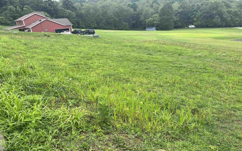 Lot 37 Birch Street, Grafton, West Virginia 26354, ,Lots/land,For Sale,Birch,10150927