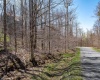 58 Brookside Road, Davis, West Virginia 26260, ,Lots/land,For Sale,Brookside,10148633