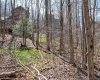 58 Brookside Road, Davis, West Virginia 26260, ,Lots/land,For Sale,Brookside,10148633