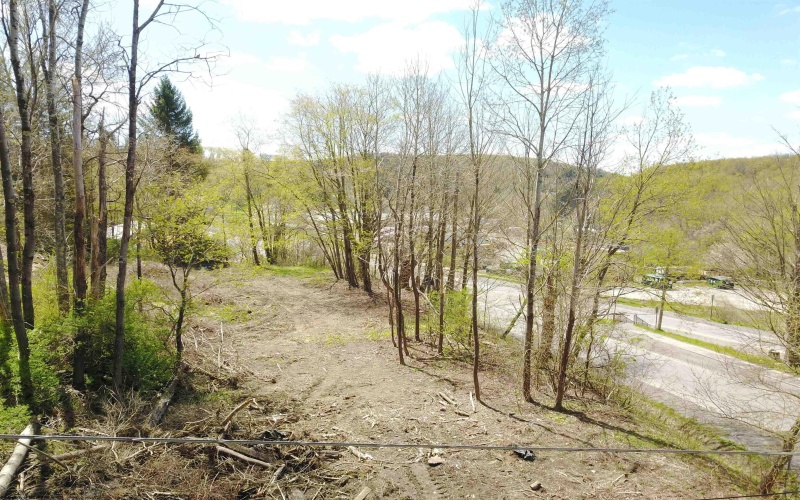 1st and Spruce street Corner, Thomas, West Virginia 26292, ,Lots/land,For Sale,street,10151022