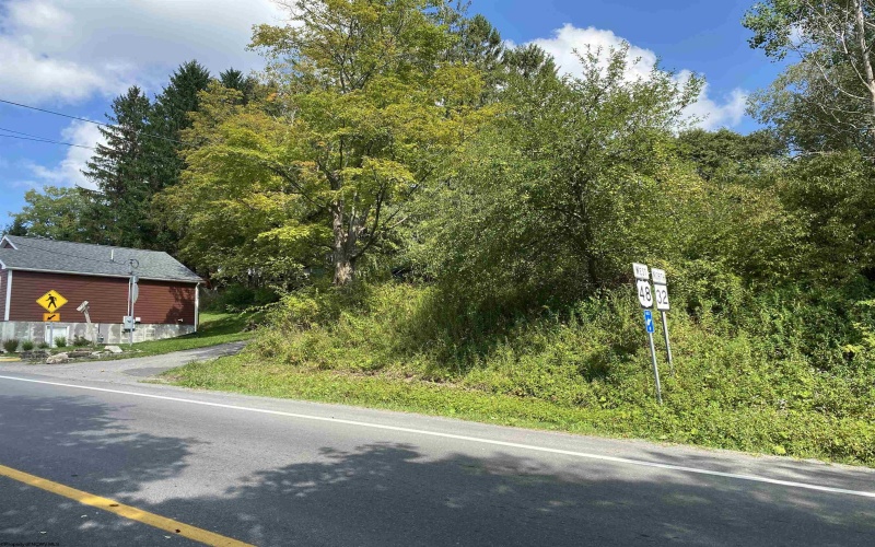 1st and Spruce street Corner, Thomas, West Virginia 26292, ,Lots/land,For Sale,street,10151022