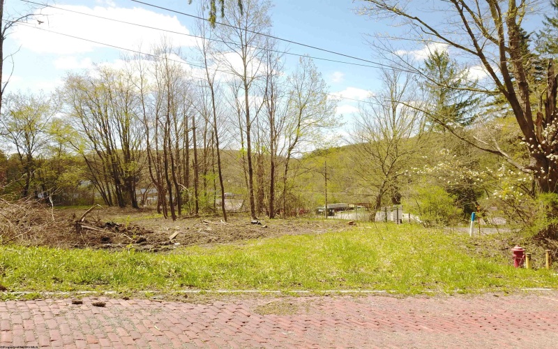 1st and Spruce street Corner, Thomas, West Virginia 26292, ,Lots/land,For Sale,street,10151022